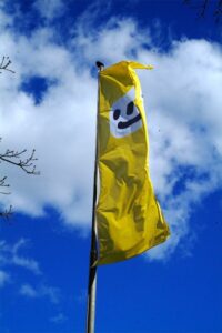 flags-of-pictopia-gallery-1 flags-of-pictopia-gallery-1