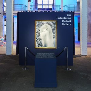 portrait-gallery-title
