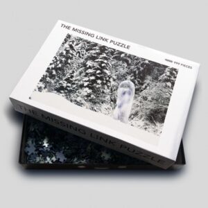 publishing_missingpuzzle publishing_missingpuzzle